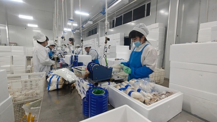 安圖生物 鉚足干勁抓生產(chǎn)，奮力沖刺生物制品“開門紅”