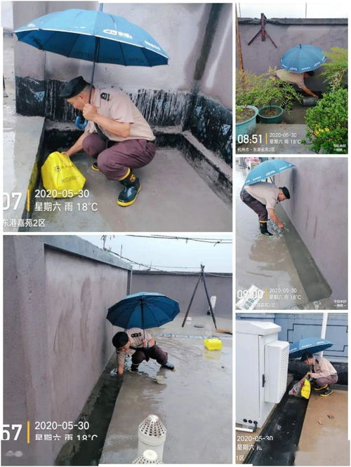 野風(fēng)東港嘉苑項目物業(yè)服務(wù)中心5月第五周工作簡報（建筑物清潔服務(wù)）